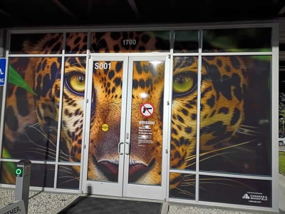 Window Graphics Photo